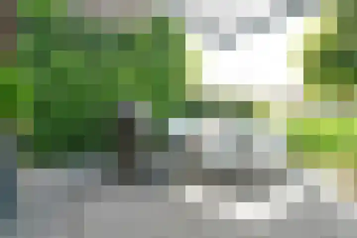 Haagweg 69 Leiden thumbnail 23