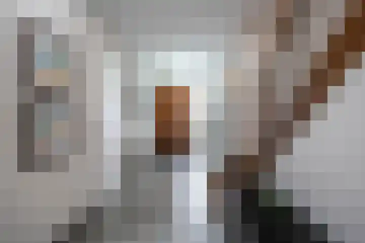 Haagweg 69 Leiden thumbnail 37