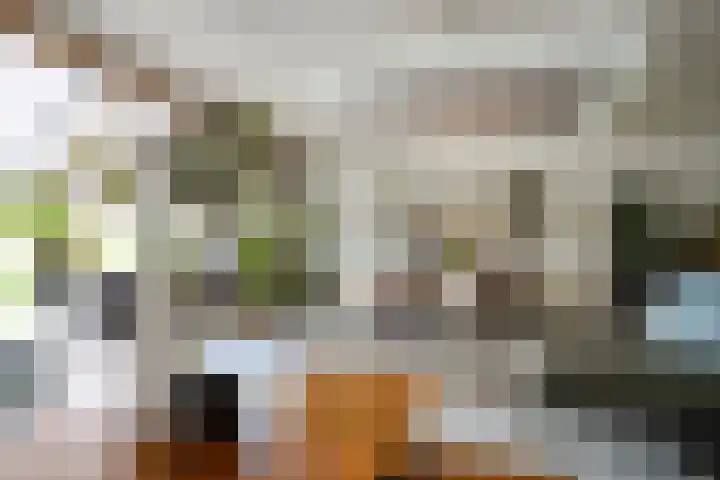 Haagweg 69 Leiden thumbnail 6