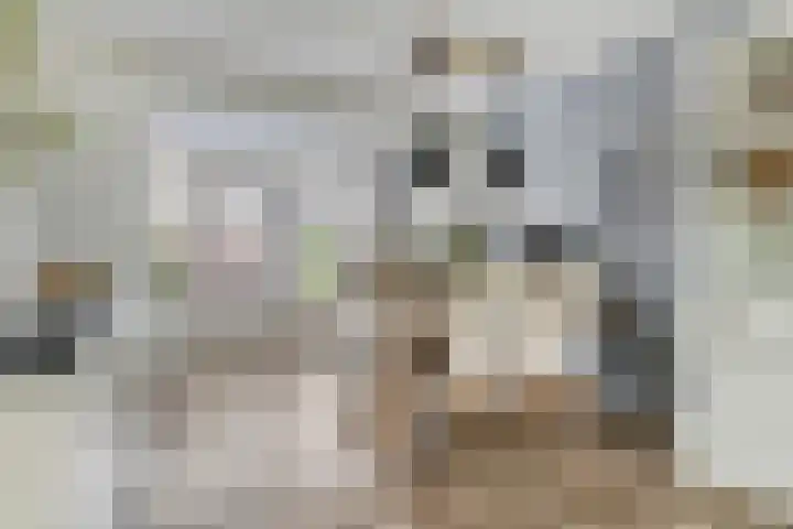 Haagwinde 12 Barendrecht thumbnail 4