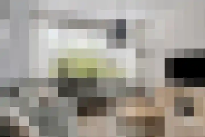 Haagwinde 12 Barendrecht thumbnail 6