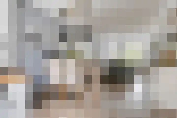 Haagwinde 12 Barendrecht thumbnail 8