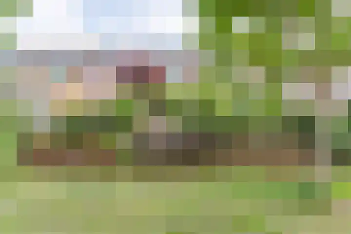 Haagwinde 12 Boskoop