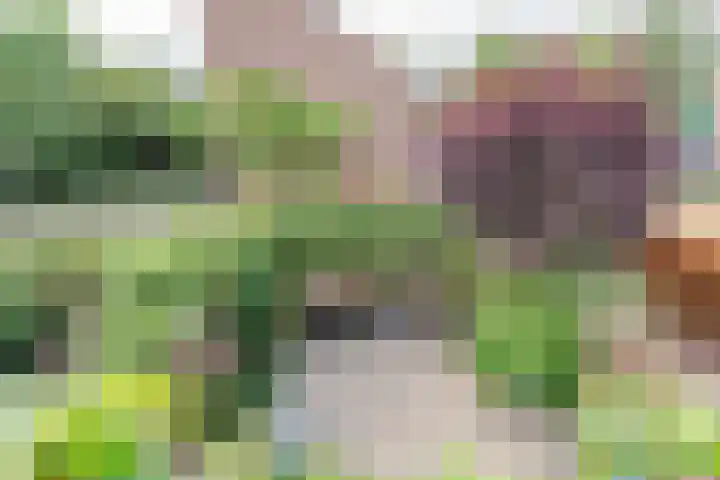 Haagwinde 12 Boskoop thumbnail 22