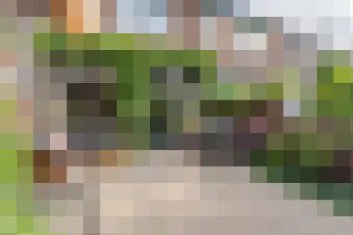 Haagwinde 12 Boskoop thumbnail 24