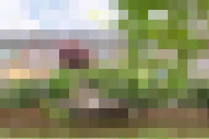 Haagwinde 12 Boskoop thumbnail 25