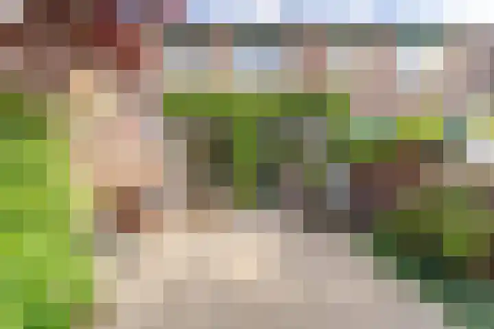 Haagwinde 12 Boskoop foto 3