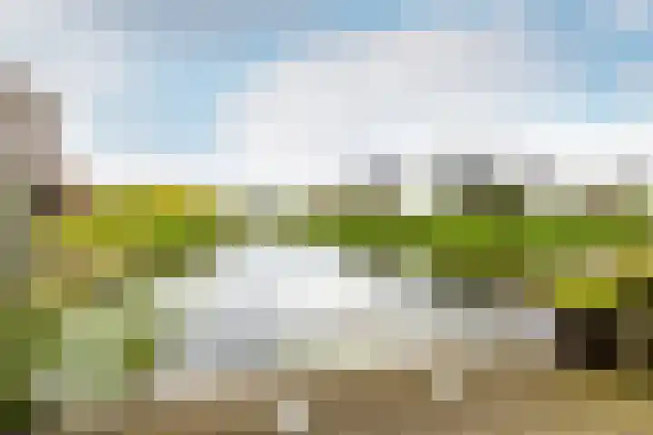 Haagwinde 13 Lelystad thumbnail 31