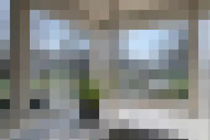 Haagwinde 14 Bladel thumbnail 10