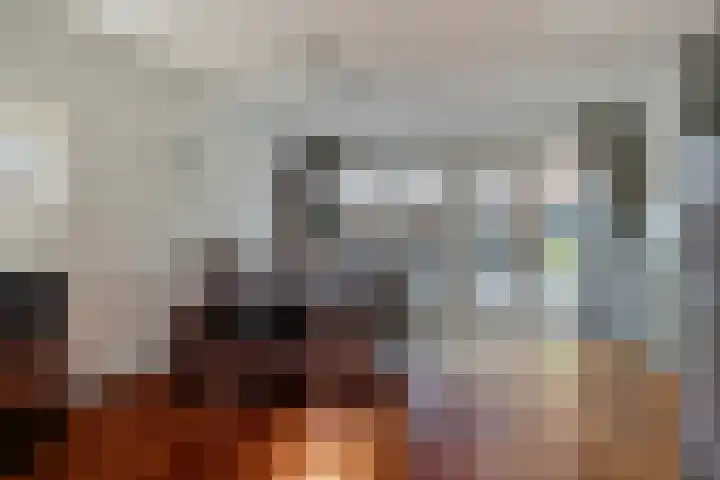 Haagwinde 14 Bladel thumbnail 12