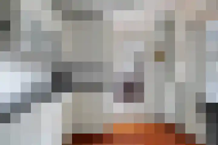 Haagwinde 14 Bladel thumbnail 16