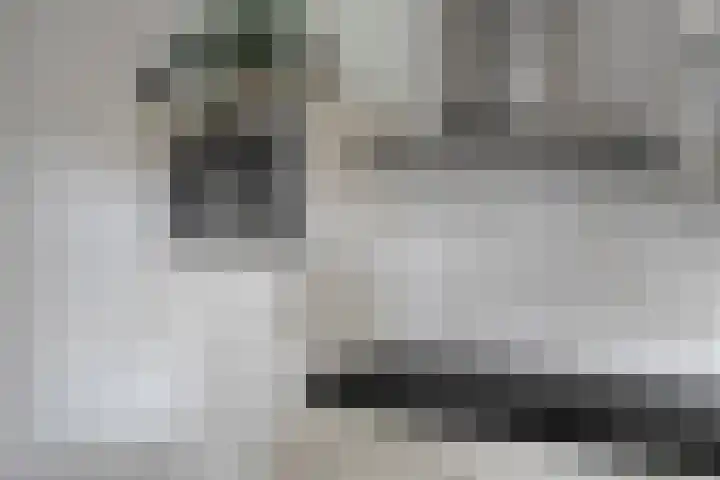 Haagwinde 14 Bladel thumbnail 17