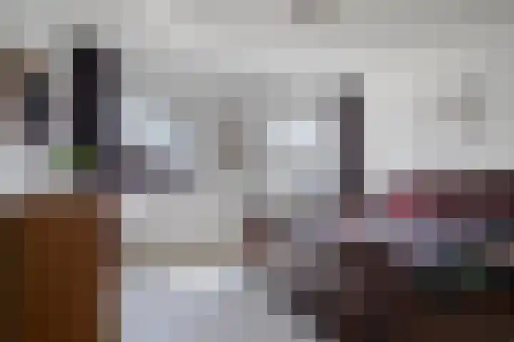 Haagwinde 14 Bladel thumbnail 20