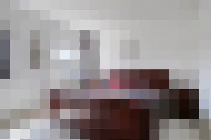 Haagwinde 14 Bladel thumbnail 21