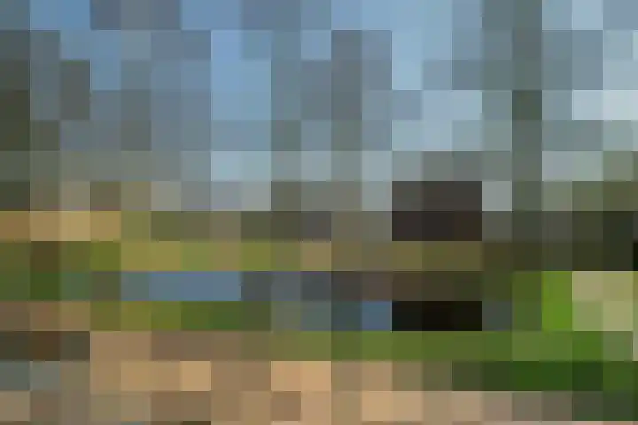 Haagwinde 14 Bladel thumbnail 23