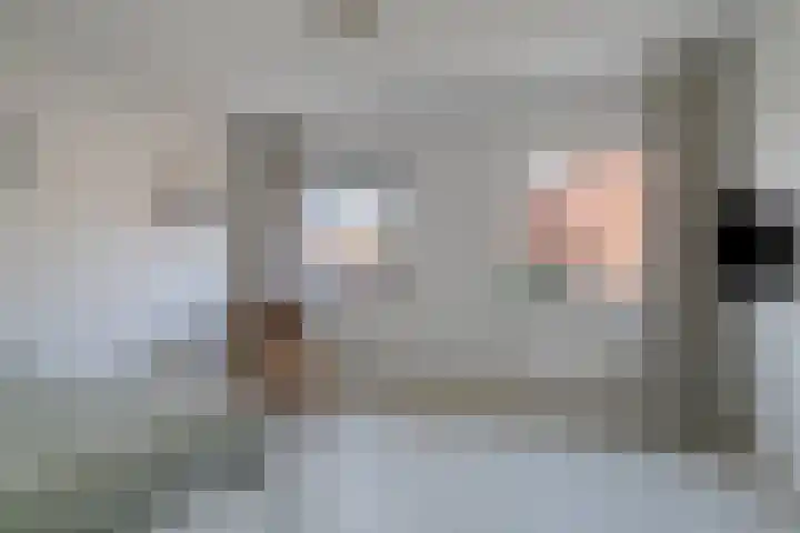 Haagwinde 14 Bladel thumbnail 26