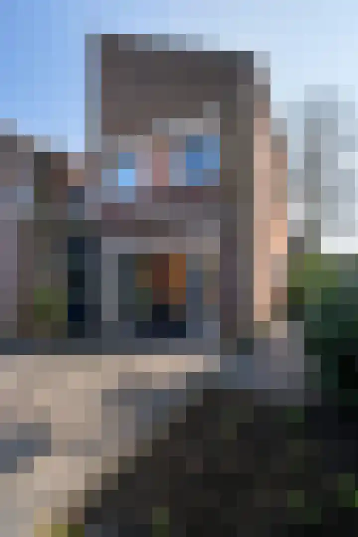 Haagwinde 14 Bladel thumbnail 32