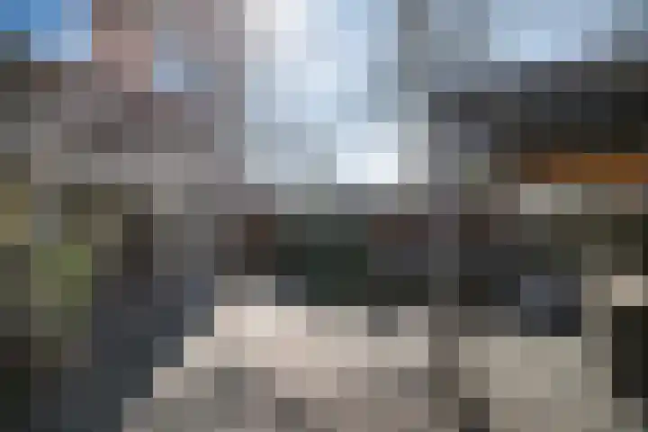 Haagwinde 14 Bladel thumbnail 33