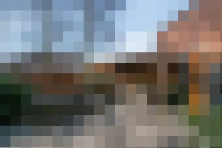 Haagwinde 14 Bladel thumbnail 34