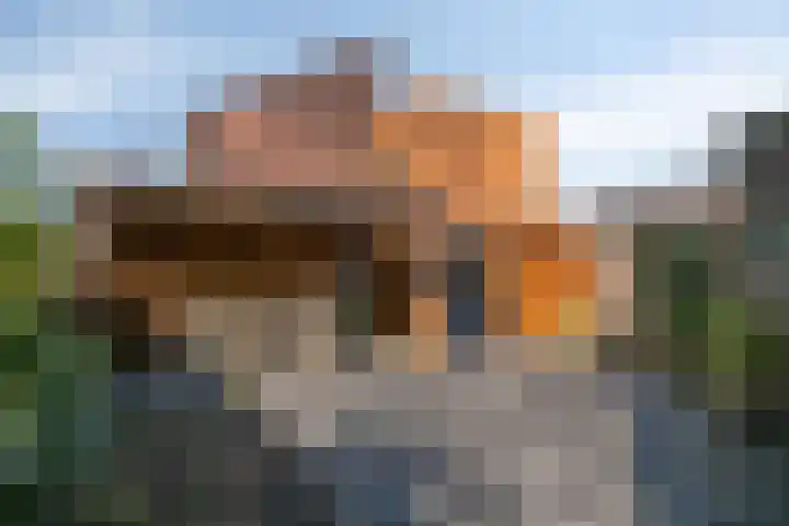 Haagwinde 14 Bladel thumbnail 35