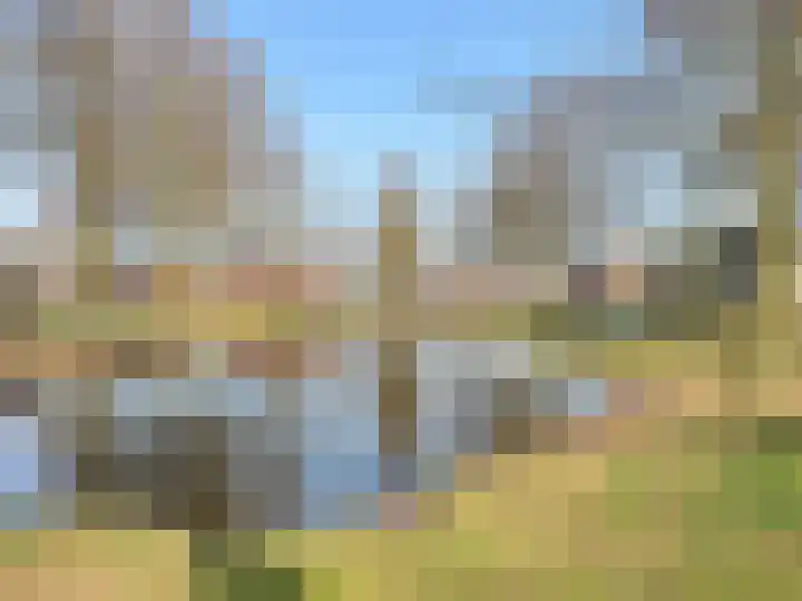 Haagwinde 14 Bladel thumbnail 39