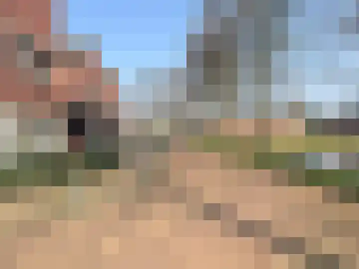 Haagwinde 14 Bladel thumbnail 6