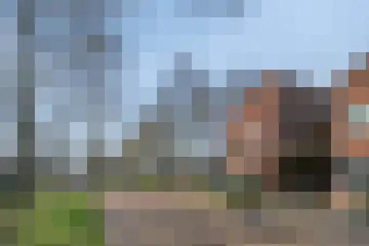 Haagwinde 14 Bladel thumbnail 7