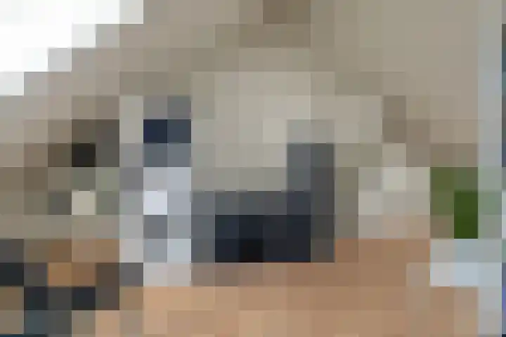 Haagwinde 15 Sprang-Capelle thumbnail 34