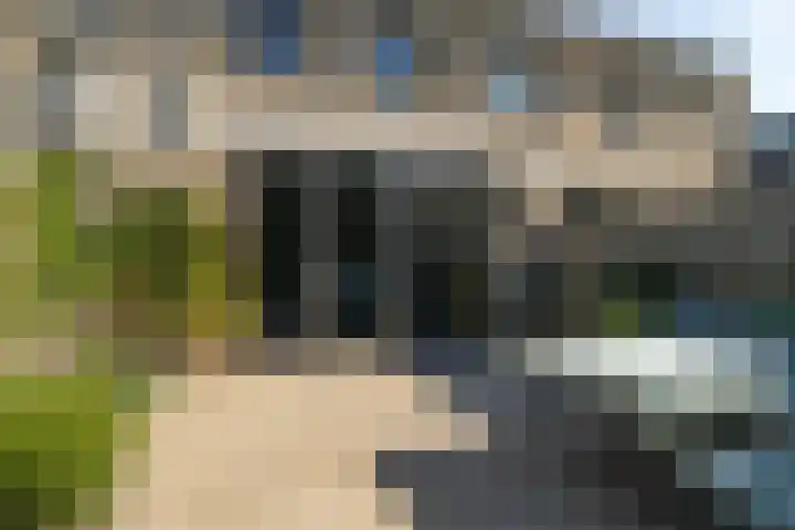 Haagwinde 15 Sprang-Capelle thumbnail 4