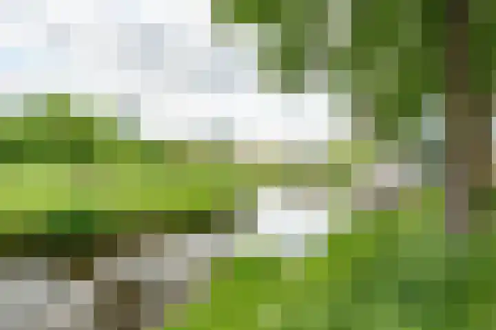 Haagwinde 15 Sprang-Capelle thumbnail 6