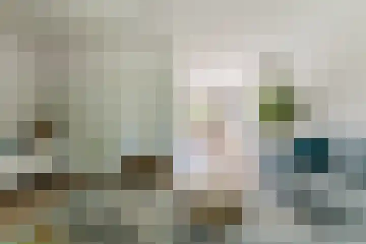 Haagwinde 2 Bladel thumbnail 10