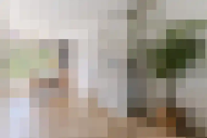 Haagwinde 2 Bladel thumbnail 11