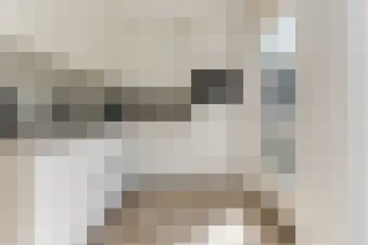 Haagwinde 2 Bladel thumbnail 13