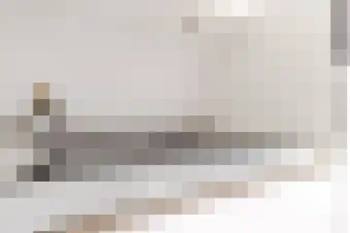 Haagwinde 2 Bladel thumbnail 15