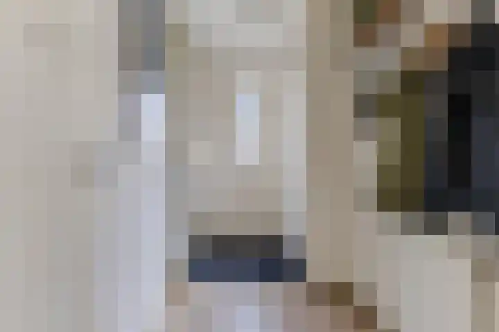 Haagwinde 2 Bladel thumbnail 16