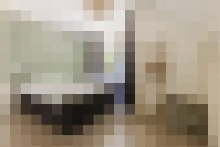 Haagwinde 2 Bladel thumbnail 18