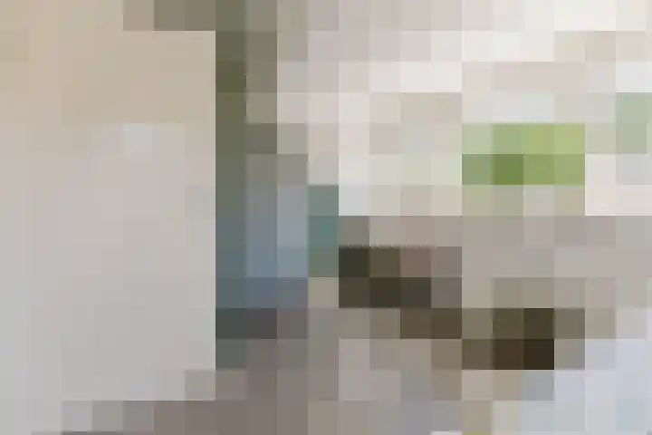 Haagwinde 2 Bladel thumbnail 21