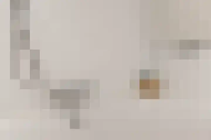 Haagwinde 2 Bladel thumbnail 25