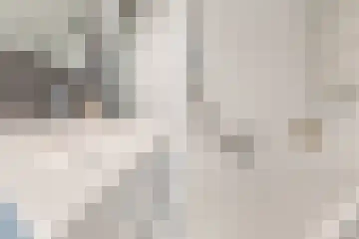 Haagwinde 2 Bladel thumbnail 26