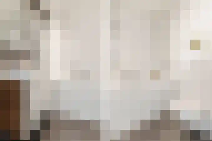 Haagwinde 2 Bladel thumbnail 29