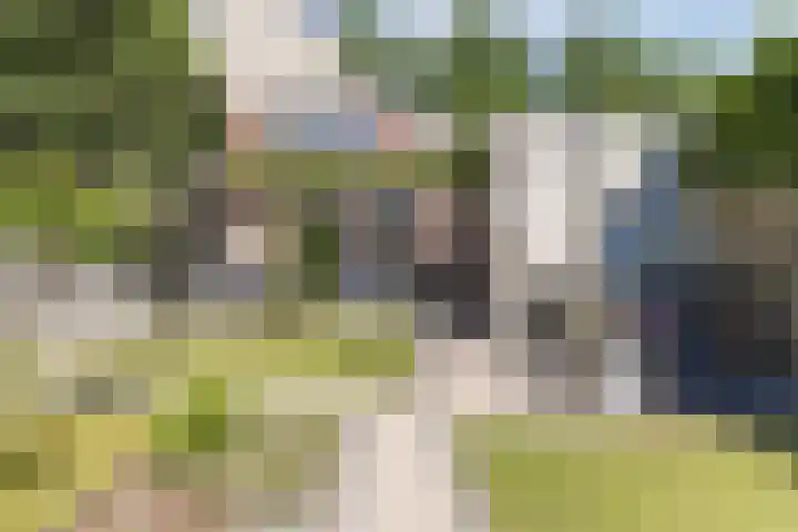 Haagwinde 2 Bladel thumbnail 37