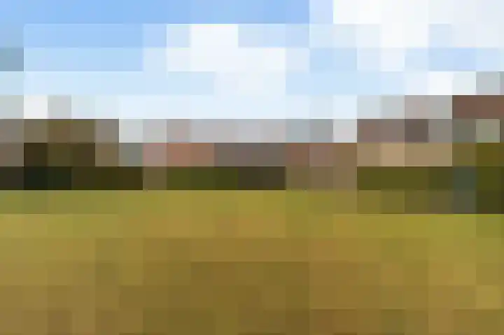 Haagwinde 2 Bladel thumbnail 42