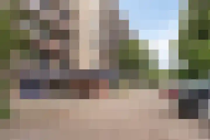 Haagwinde 2 Bladel thumbnail 5