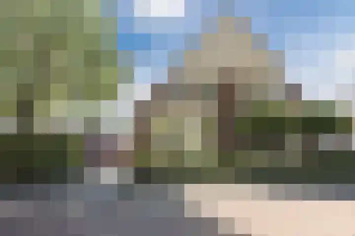 Haagwinde 2 Bladel thumbnail 5