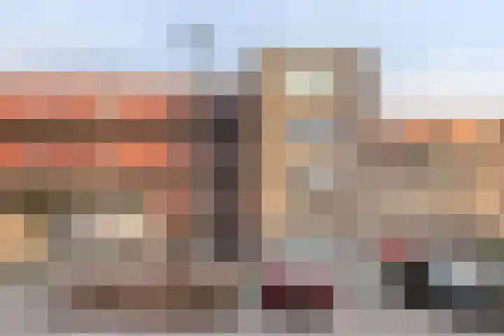 Haagwinde 2 Bladel thumbnail 50