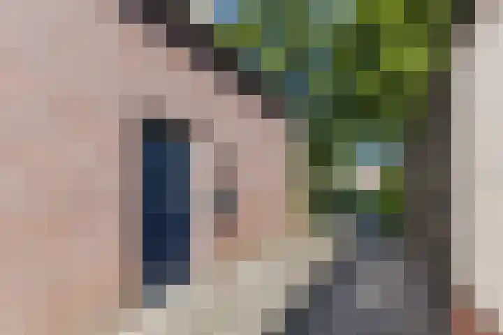 Haagwinde 2 Bladel thumbnail 7