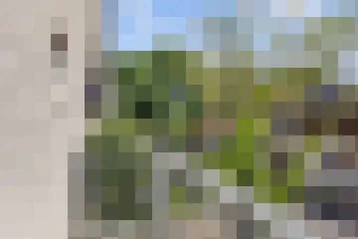 Haagwinde 20 Vught thumbnail 20