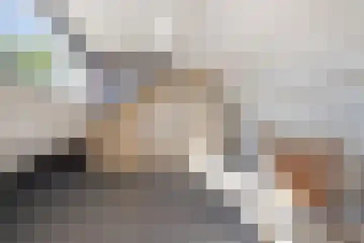 Haagwinde 20 Vught thumbnail 29
