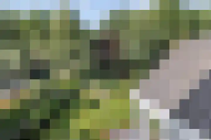 Haagwinde 20 Vught thumbnail 32