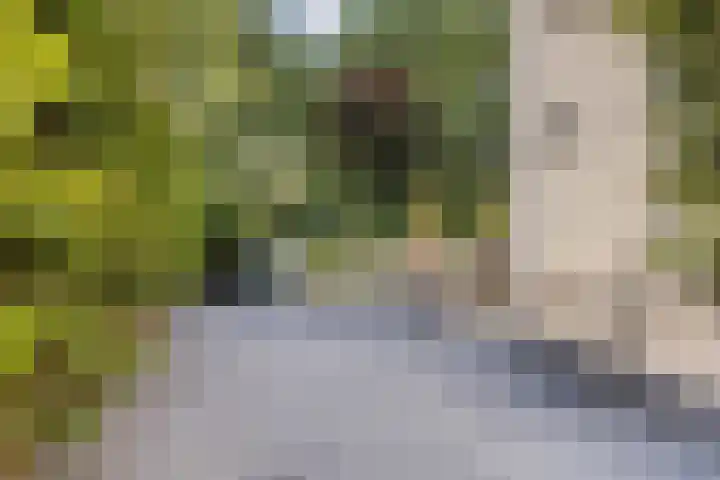 Haagwinde 20 Vught thumbnail 33